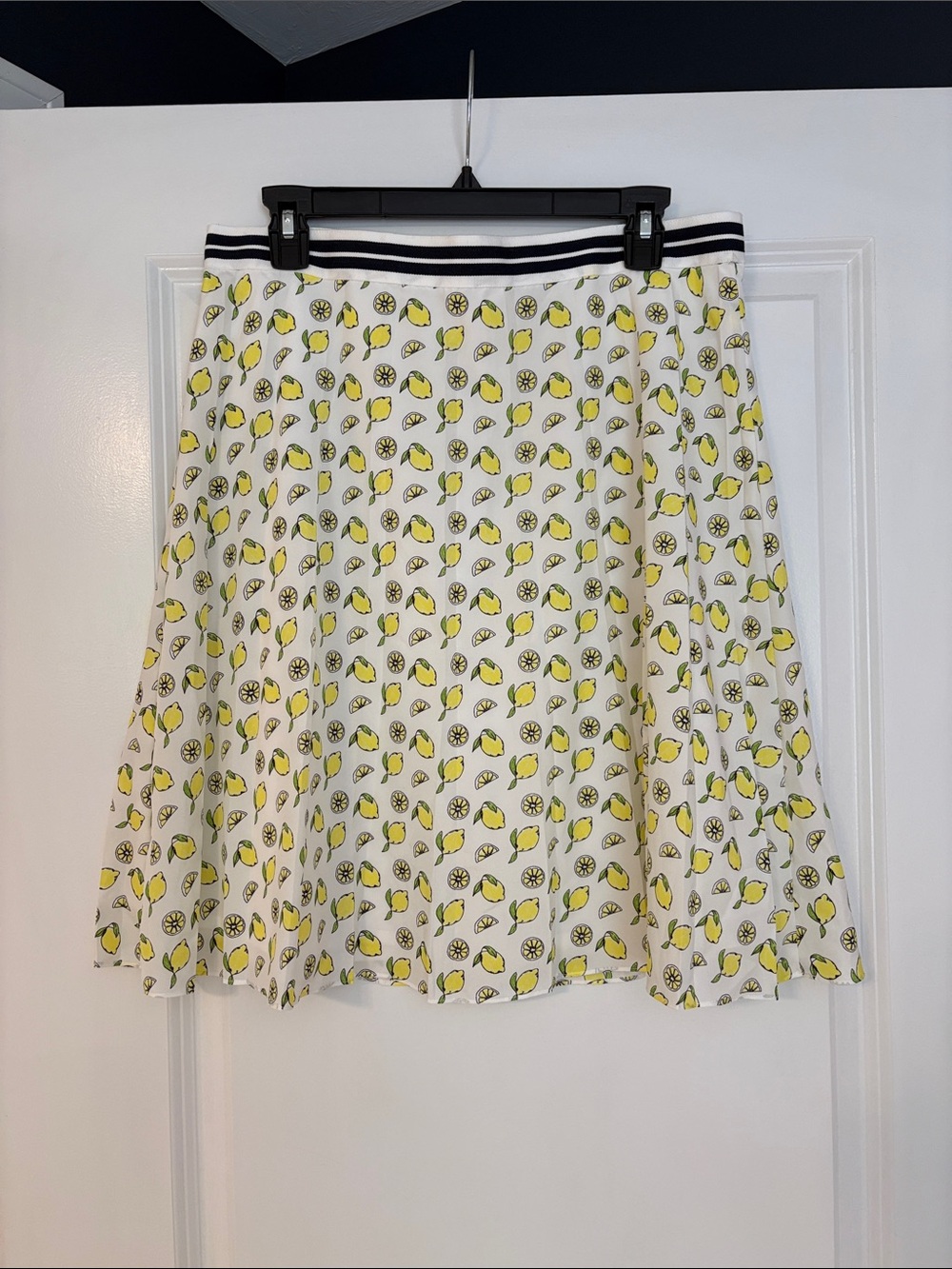 JCrew Factory Skirt